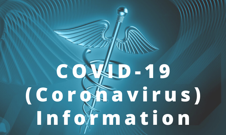 Measures Adopted by the Government – the Economic and Social Impact of COVID-19